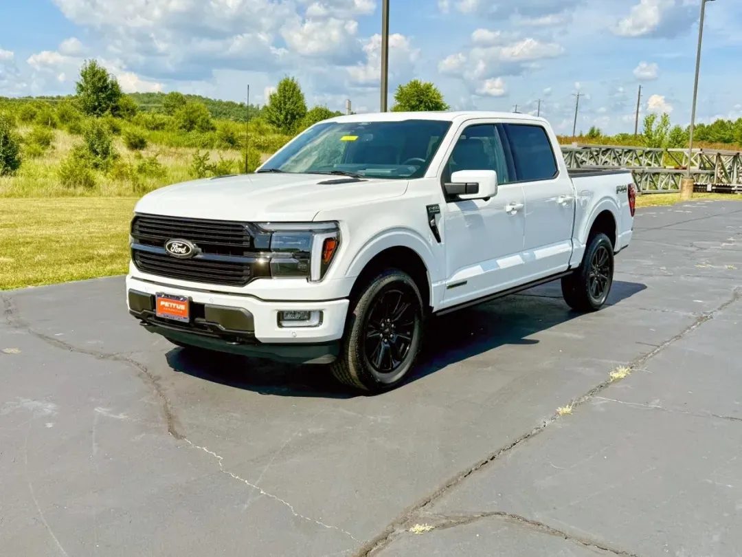 2025 Ford F-150 Platinum