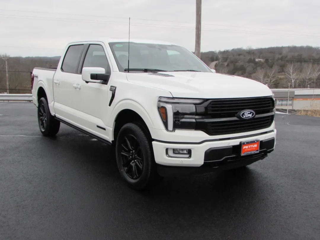 2026 Ford F150 PLATI 