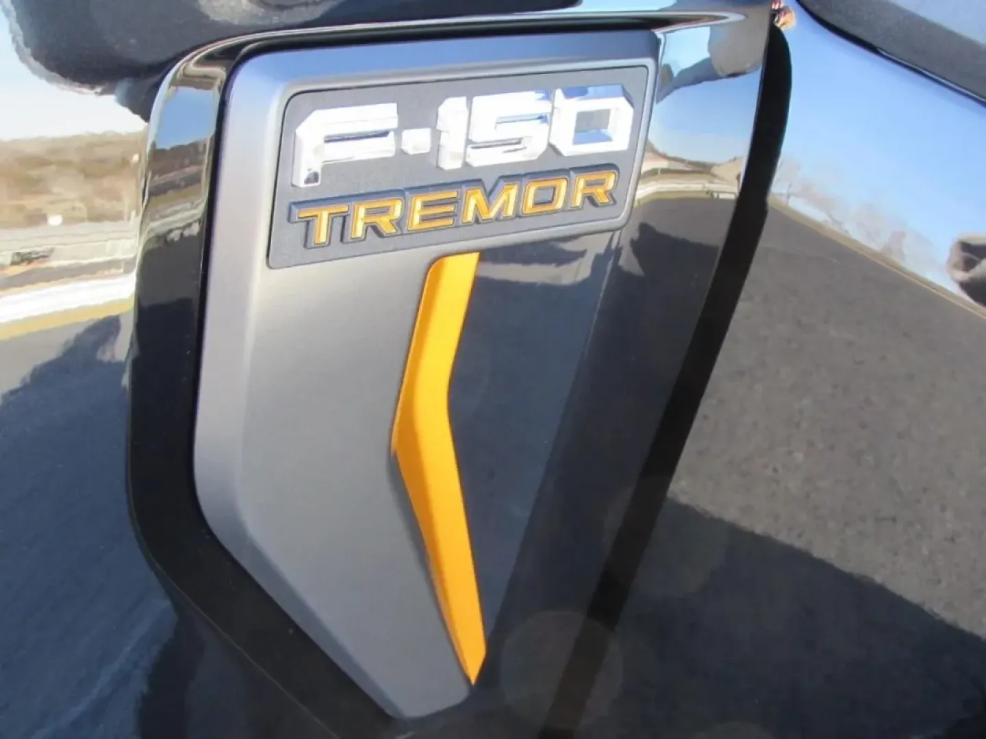 2025 /Black Ford F-150 Tremor (1FTFW4L52SF) with an 5.0L V8 engine, Automatic transmission, located at 12836 Highway 21, De Soto, MO, 63020, (636) 337-7777, 38.151867, -90.575615 - **Unleash Your Adventurous Spirit with the 2025 Ford F-150 Tremor at Pettus Ford De Soto!**<br /> <br /> Are you ready to take your weekend adventures and daily commutes to the next level? Whether you're a thrill-seeker heading off the beaten path or a hardworking professional needing a reliable tru - Photo#9