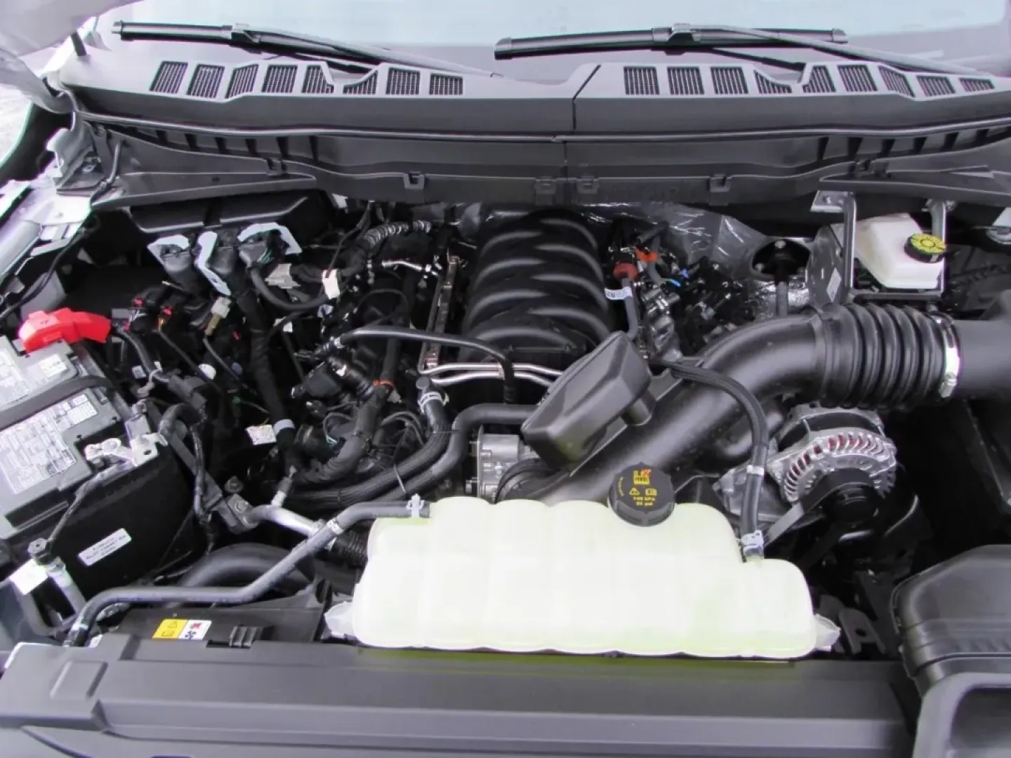 2025 /Black Ford F-150 Tremor (1FTFW4L54SF) with an 5.0L V8 engine, Automatic transmission, located at 12836 Highway 21, De Soto, MO, 63020, (636) 337-7777, 38.151867, -90.575615 - **Elevate Your Adventures with the 2025 Ford F-150 Tremor at Pettus Ford De Soto!**<br /> <br /> Are you ready to take on your next adventure? Whether you're tackling rugged terrains or cruising through city streets, the 2025 Ford F-150 Tremor is the ultimate companion for those who crave both capab - Photo#8